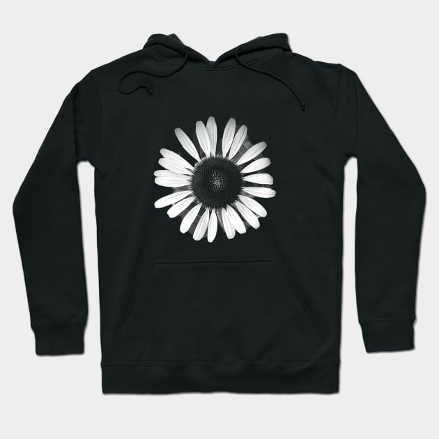 Love is the Flower You Have To Let Grow Hoodie by enchantingants